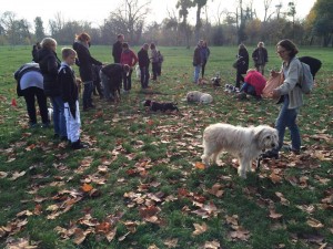 éducation canine près de Fontenay sous Bois