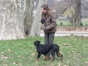 éducation canine avec une experte du comportement des chiens