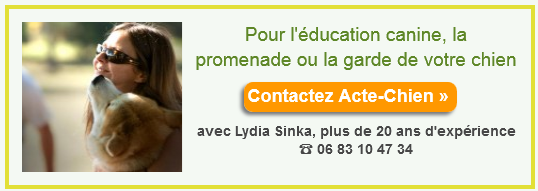 contactez Acte chien