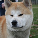 Ekio