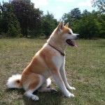 Ekio