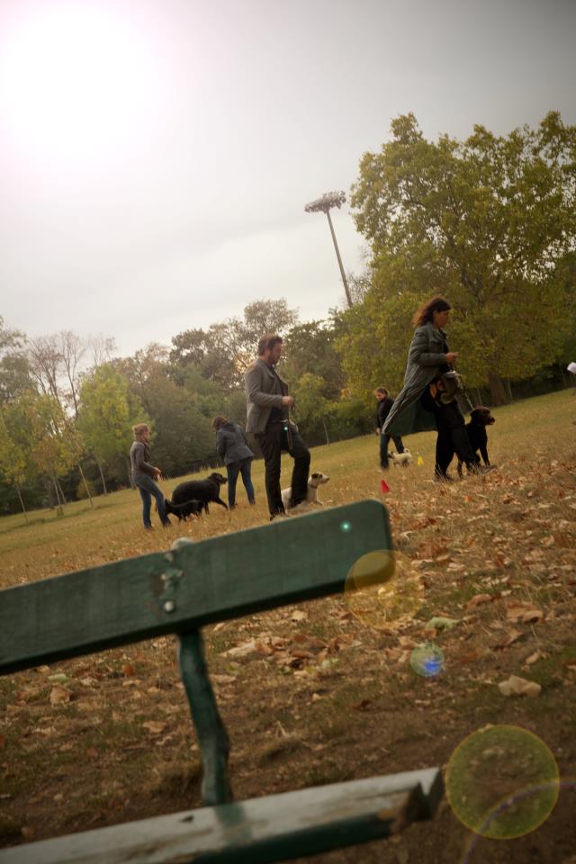 promenade de chiens à Paris Tolbiac