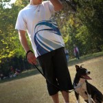Education canine Ile de France