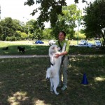 Dog Walker