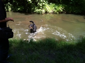 baignade de chiens dans le Bois de Vincennes