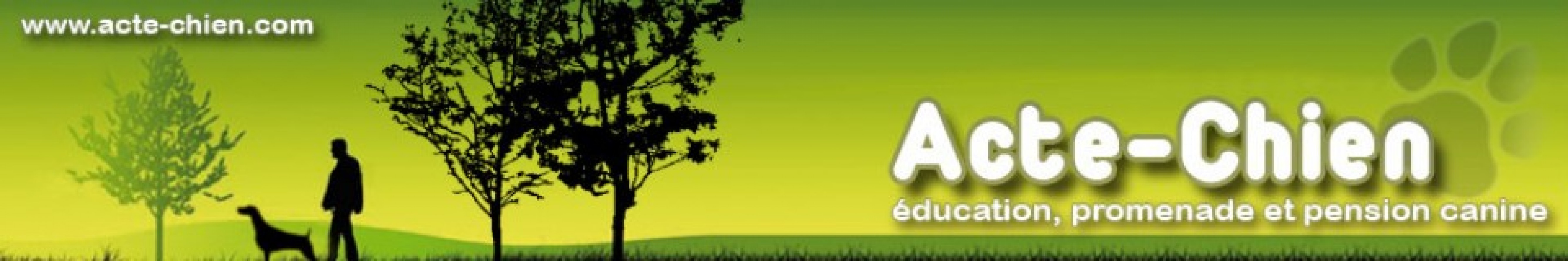 cropped-cropped-header1.jpg