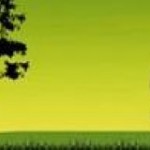 cropped-cropped-cropped-header1-1.jpg