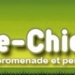 cropped-cropped-cropped-cropped-header12.jpg