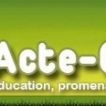 cropped-cropped-header14.jpg