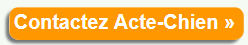 contacter Acte-Chien