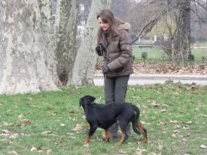 faire promener son chien dans le Onzième arrondissement de Paris