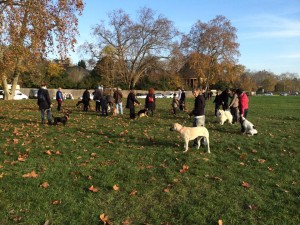 cours de dressage canin au Bois de Vincennes