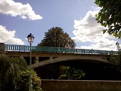 la promenade de votre chien sur Champigny sur Marne