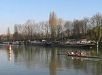promenade-chien-marne