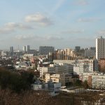promenade-chien-montreuil