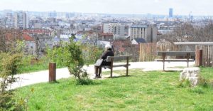 balade canine sur Fontenay sous Bois