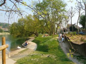 Des services professionnels pour la pension, le dressage et la promenade de votre chien sur Saint Maur des Fossés !