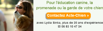 contactez Acte chien